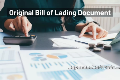 Laidings com
